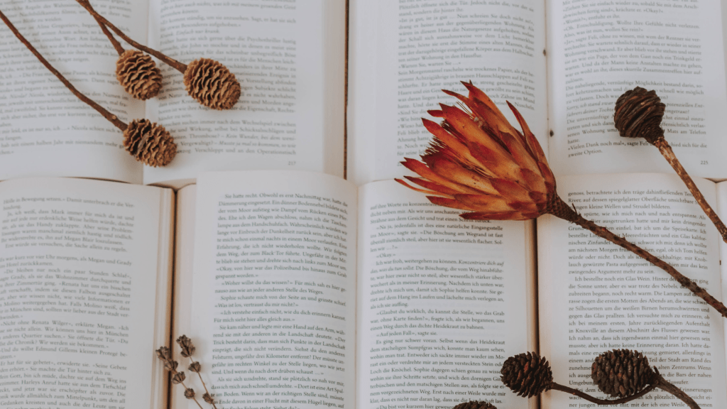 Libros de tapa dura y libros de tapa&nbsp;blanda