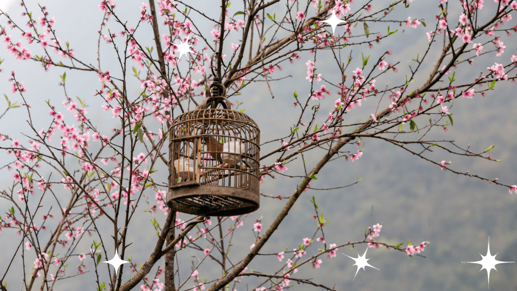 Jaula (microrrelato)