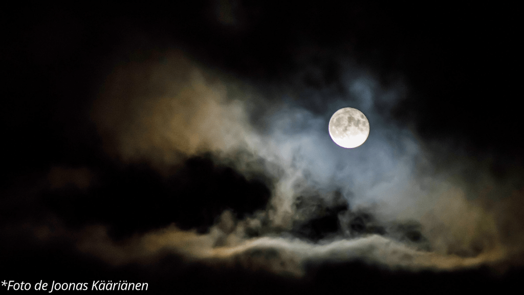 La Dama de las&nbsp;Encrucijadas