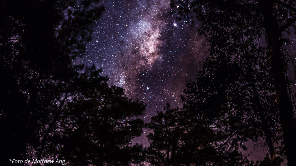 La luz de las&nbsp;estrellas