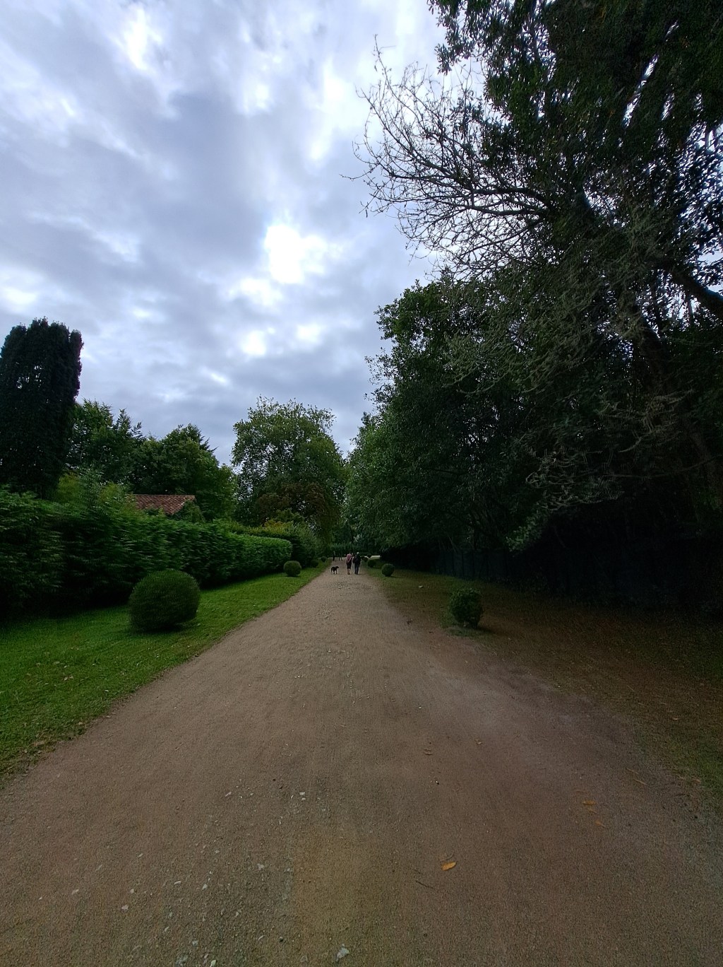 Crónica de una semana (parte&nbsp;3)